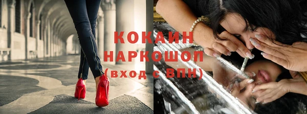 ГАЛЛЮЦИНОГЕННЫЕ ГРИБЫ Ельня