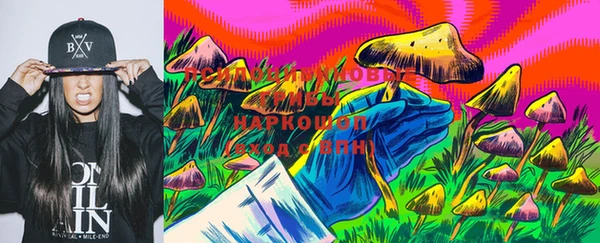 дурь Елабуга