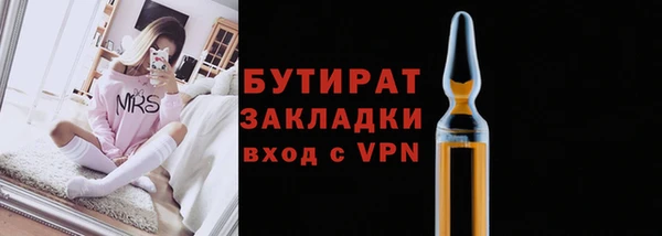 ГАЛЛЮЦИНОГЕННЫЕ ГРИБЫ Ельня
