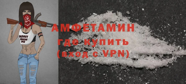 ГАЛЛЮЦИНОГЕННЫЕ ГРИБЫ Ельня