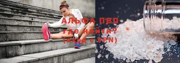 ГАЛЛЮЦИНОГЕННЫЕ ГРИБЫ Ельня