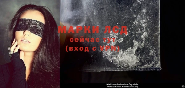 ГАЛЛЮЦИНОГЕННЫЕ ГРИБЫ Ельня