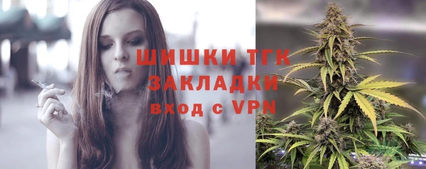 МДПВ Елизово